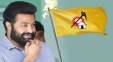 Is TDP Afraid of Jr. NTR's Influence?