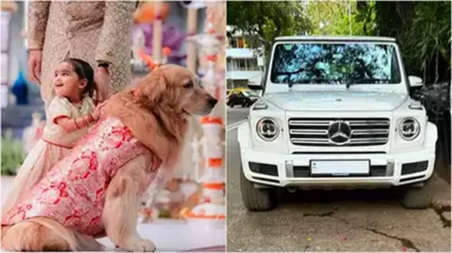 Ambanis dog travels in a luxurious car worth Rs 4 cr