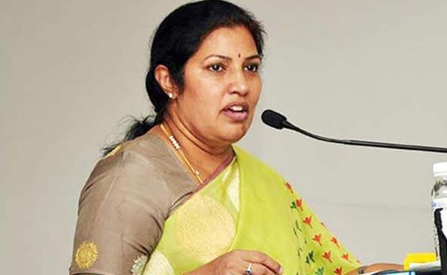 3 new airports planned in Andhra: Purandeswari