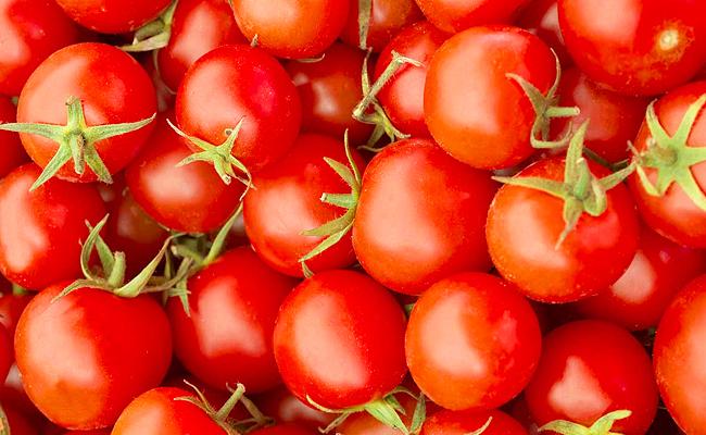 Andhra's tomato farmer earns Rs 4 cr in 45 days