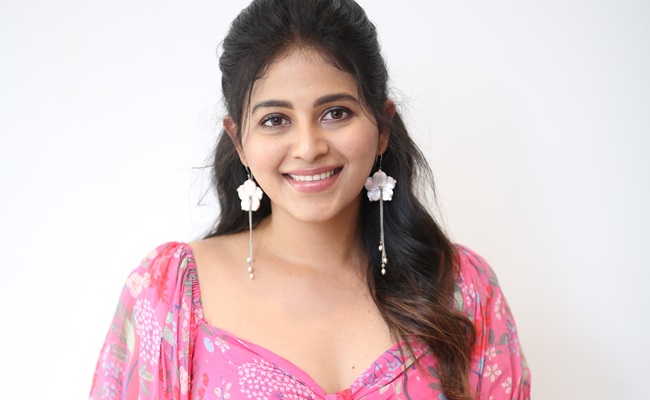 My character in Gangs of Godavari stands out: Anjali