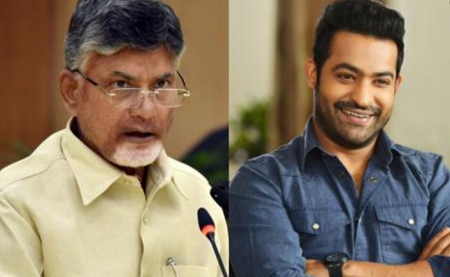 Will Jr NTR join Naidu's plan for NTR birth centenary?