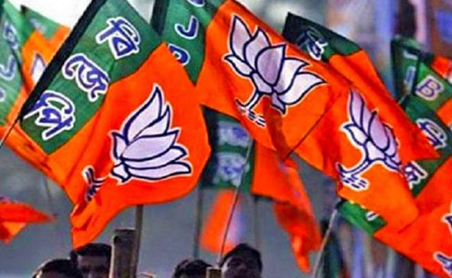 BJP gearing up for yet another yatra in AP