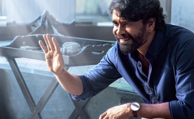 Pic Talk: Kubera Nagarjuna's Kingly Smile