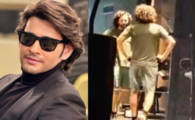 Mahesh Babu is Working Hard for the 'Lion' Look