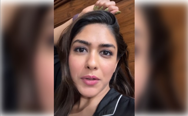 Mrunal Thakur schools fan, later apologises