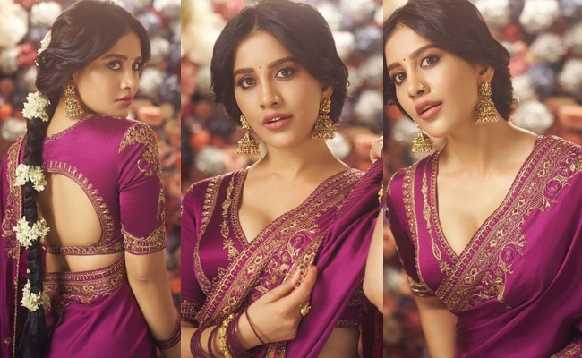 Pics: Nabha Impresses In Stunning Saree