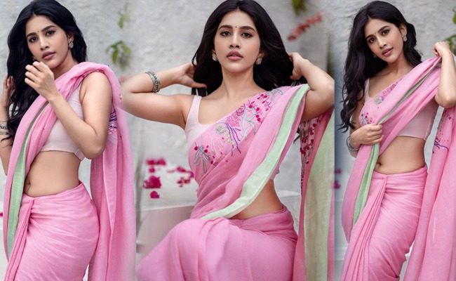 pHOTo Gallery: Nabha Radiates in Pink Elegance