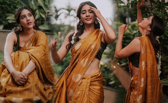 pHOTo Gallery: Nabha Natesh Stuns In Saree Look