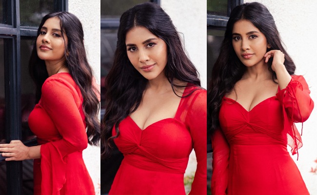 pHOTo Gallery: Nabha Radiates In Stunning Red