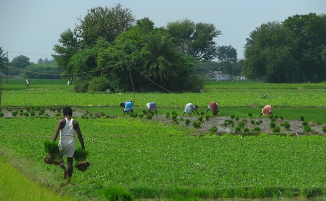 AI World: Agriculture Becomes Future Gold