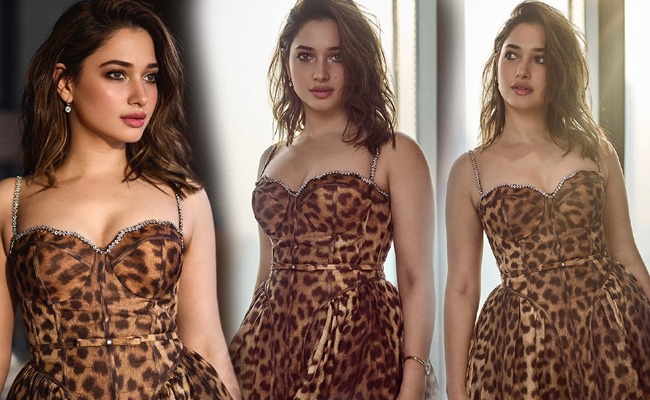 pHOTo Gallery: Tamannah As The Tigress Of Beauty