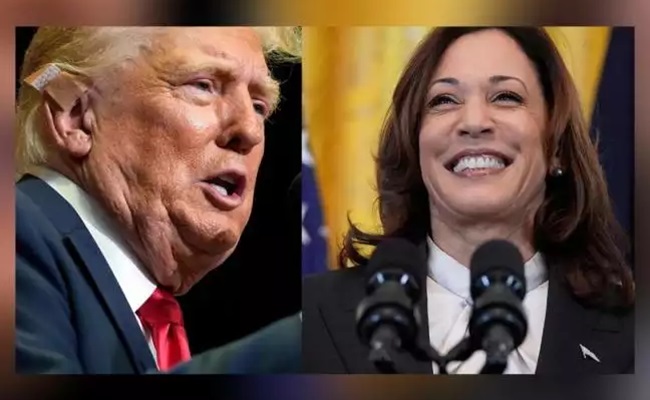 Harris narrows gap with Trump in presidential race