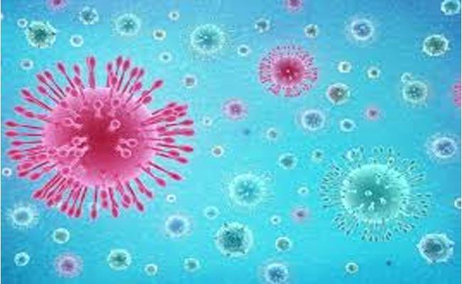 4-Month-Old Recovers From Coronavirus In Vizag