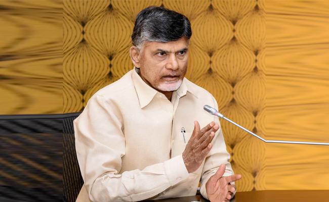 Naidu appoints jumbo panel for TDP state unit