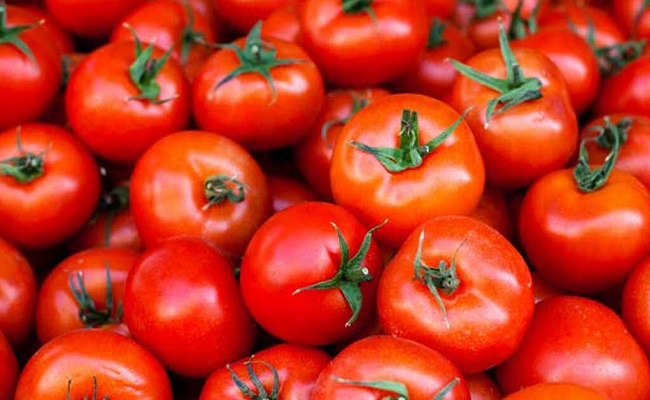 AP govt to buy tomatoes as farmers suffer low prices