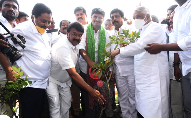 One crore saplings' plantation held to mark KCR's b'day