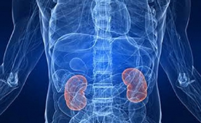 Covid-hit people must keep kidney health in check